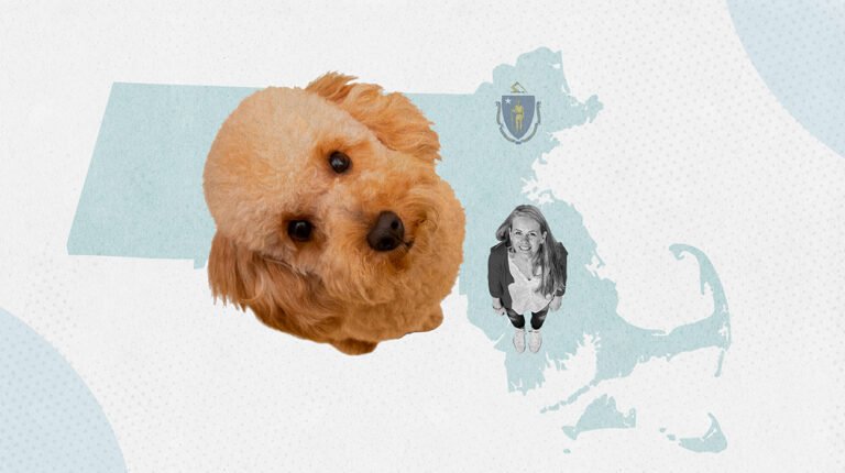 Emotional Support Animal Massachusetts: Know The Laws 2024
