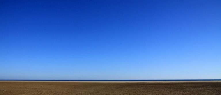 Mental health resources in South Africa: What you need to know